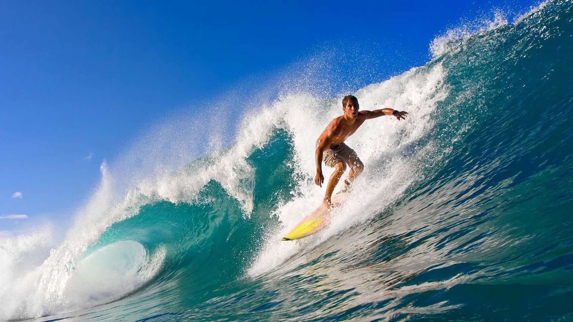 开云体育APP下载-巨浪席卷金字招牌,戴维斯杯如何一夜抢走年终总决赛的风头,鲁德红土外的新王冠