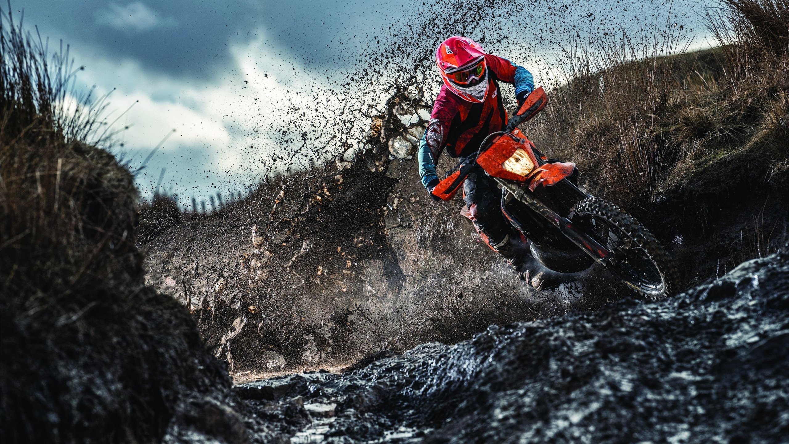 开云体育中国官网-双刃出鞘，绝境之王，穆雷的美网绝杀与年终总决赛的终极救赎